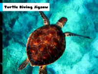 https://www.y8gamesx.com/game/turtle-diving-jigsaw