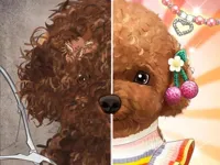 https://www.y8gamesx.com/game/pet-makeup-master