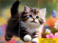 https://www.y8gamesx.com/game/puzzle-sliding-kittens