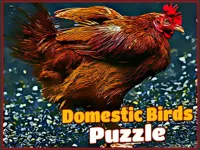 https://www.y8gamesx.com/game/domestic-birds-puzzle