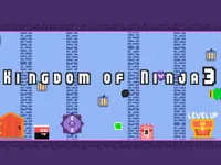 https://www.y8gamesx.com/game/kingdom-of-ninja-3