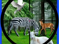 https://www.y8gamesx.com/game/real-jungle-animals-hunting