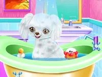 https://www.y8gamesx.com/game/my-new-poodle-friend