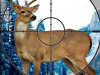https://www.y8gamesx.com/game/stag-hunter