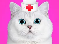 https://www.y8gamesx.com/game/cat-pet-doctor-dentist