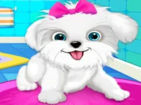 https://www.y8gamesx.com/game/puppy-pet-salon-amp-dog-daycare