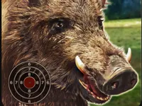 https://www.y8gamesx.com/game/boar-hunting-jigsaw