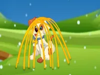 https://www.y8gamesx.com/game/rescue-the-doggy