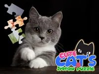 https://www.y8gamesx.com/game/cute-cats-jigsaw-puzzle