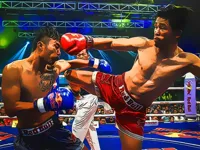 https://www.y8gamesx.com/game/muaythai-fighters-jigsaw