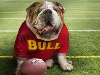 https://www.y8gamesx.com/game/funny-doggy-puzzle