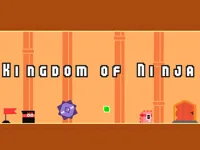 https://www.y8gamesx.com/game/kingdom-of-ninja