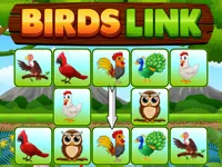 https://www.y8gamesx.com/game/birds-link