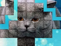 https://www.y8gamesx.com/game/picpu-cat-puzzle