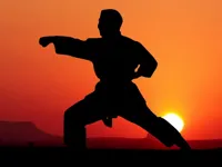 https://www.y8gamesx.com/game/karate-sunset-warriors