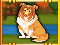 https://www.y8gamesx.com/game/bernese-mountain-dog-escape