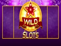 https://www.y8gamesx.com/game/wild-slot