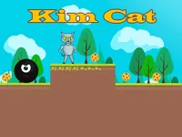 https://www.y8gamesx.com/game/kim-cat