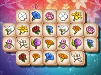 https://www.y8gamesx.com/game/blossom-link