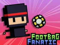 https://www.y8gamesx.com/game/footbag-fanatic