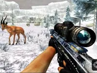 https://www.y8gamesx.com/game/sniper-hunting-jungle-2022