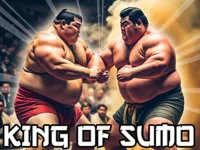 https://www.y8gamesx.com/game/king-of-sumo