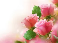 https://www.y8gamesx.com/game/pink-roses-puzzle