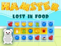 https://www.y8gamesx.com/game/hamster-lost-in-food