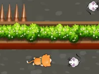 https://www.y8gamesx.com/game/cat-trap-labyrinth-escape