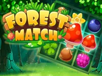 https://www.y8gamesx.com/game/forest-match