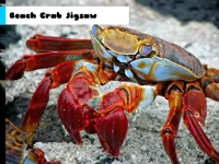 https://www.y8gamesx.com/game/beach-crab-jigsaw