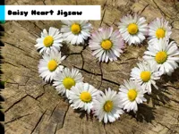 https://www.y8gamesx.com/game/daisy-heart-jigsaw