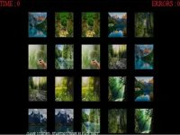 https://www.y8gamesx.com/game/memorize-nature