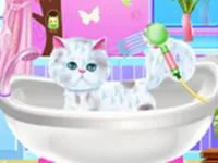 https://www.y8gamesx.com/game/pet-groomer