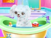 https://www.y8gamesx.com/game/my-new-poodle-friend-pet-care-game