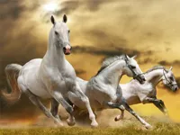 https://www.y8gamesx.com/game/running-horse-slide