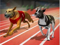 https://www.y8gamesx.com/game/racing-dog-simulator-crazy-dog-racing-games