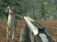 https://www.y8gamesx.com/game/crazy-goat-hunter