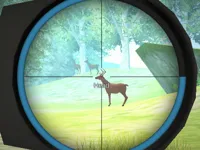 https://www.y8gamesx.com/game/hunter