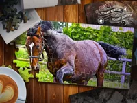 https://www.y8gamesx.com/game/jigsaw-puzzle-horses-edition