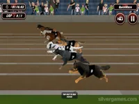 https://www.y8gamesx.com/game/crazy-dog-racing-simulator-games-3d
