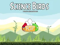 https://www.y8gamesx.com/game/science-birds