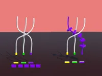 https://www.y8gamesx.com/game/twisted-rods