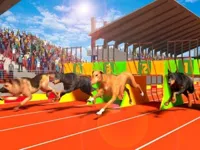 https://www.y8gamesx.com/game/dog-run-3d