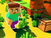 https://www.y8gamesx.com/game/craft-runner-mine-rush