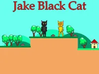https://www.y8gamesx.com/game/jake-black-cat