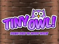 https://www.y8gamesx.com/game/tiny-owl