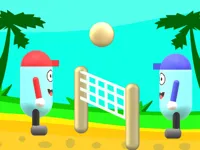https://www.y8gamesx.com/game/beach-volleyball