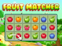 https://www.y8gamesx.com/game/fruit-matcher