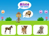 https://www.y8gamesx.com/game/world-of-alice-baby-animal